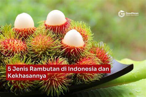 5 Jenis Rambutan di Indonesia dan Ciri-Cirinya - raincitystudios.com
