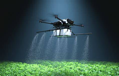 5 Low-Cost Irrigation Systems for Small Farmers - raincitystudios.com