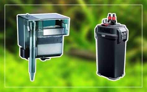 5 Most Common Problems with Canister Filters - Smart … - raincitystudios.com