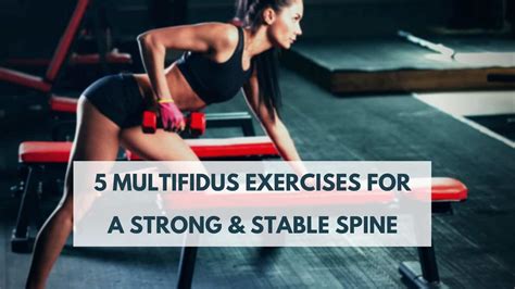 5 Multifidus Exercises for a Strong & Stable Lumbar Spine