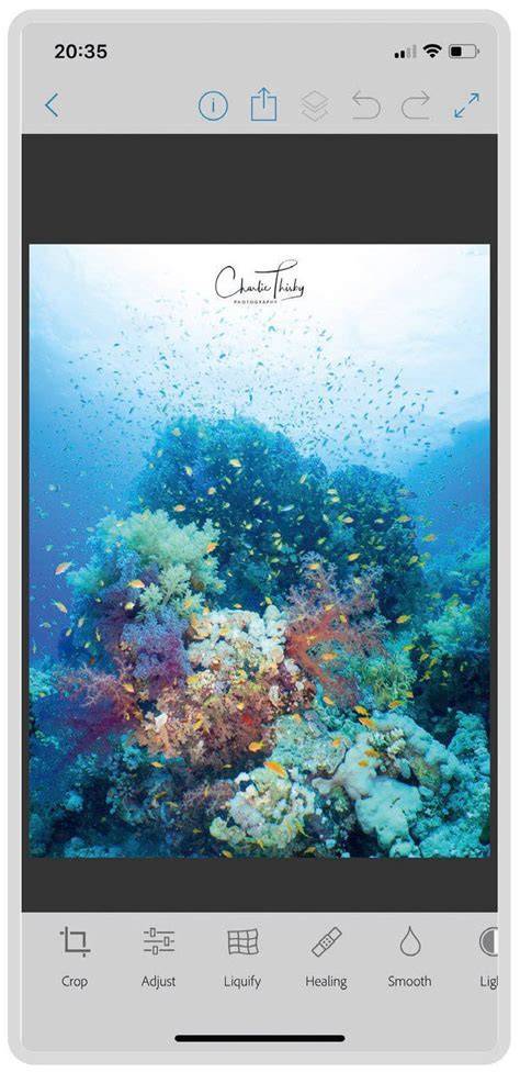 5 of the best Underwater photo-editing Apps - Divernet - raincitystudios.com