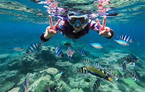 5 Pantai Terbaik untuk Snorkeling di Indonesia - raincitystudios.com
