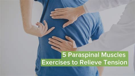 5 Paraspinal Muscles Exercises to Relieve Tension Crist .
