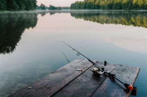 5 Pro Tips to Enhance Your fish_catching Skills**