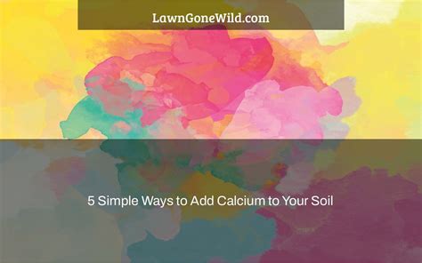 5 Simple Ways to Add Calcium to Your Soil - My … - raincitystudios.com
