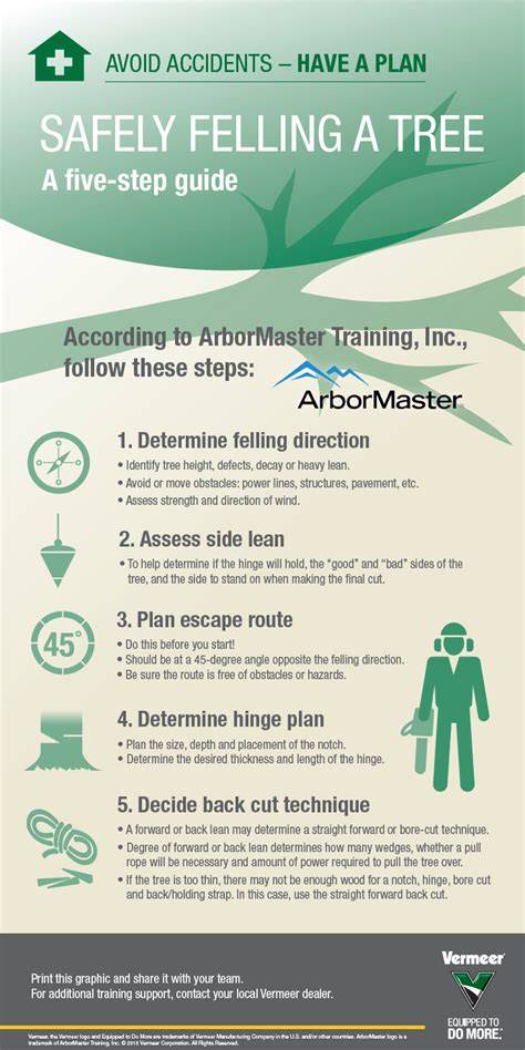 5 Step Plan for Safe Tree Felling with a Chainsaw - raincitystudios.com