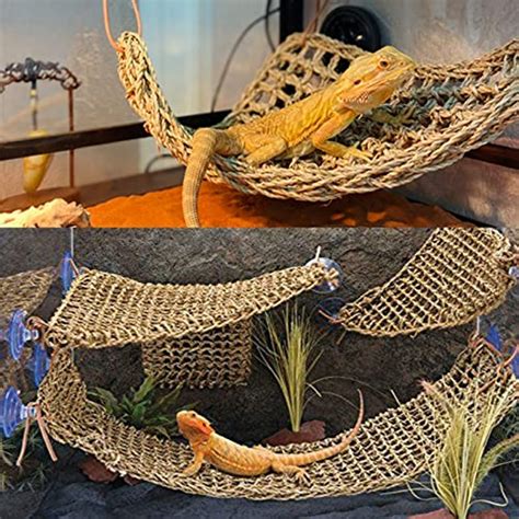 5 Sets Bearded Dragon Climbing Toys Natural Seagrass Woven …