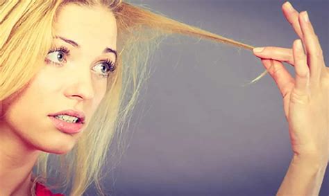 5 Smart Tips to Prevent Split Ends & the Appearance of …