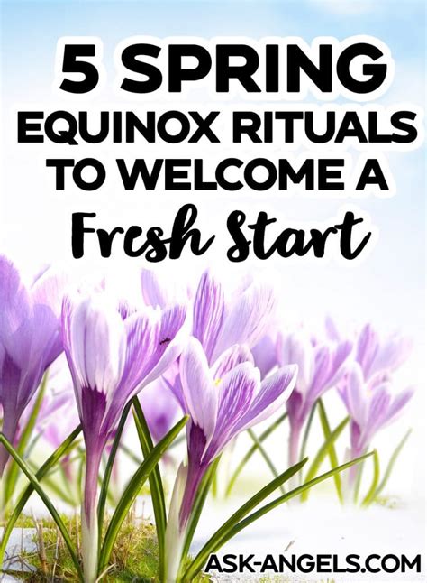 5 Spring Equinox Rituals – Celebrate the Start of Spring!