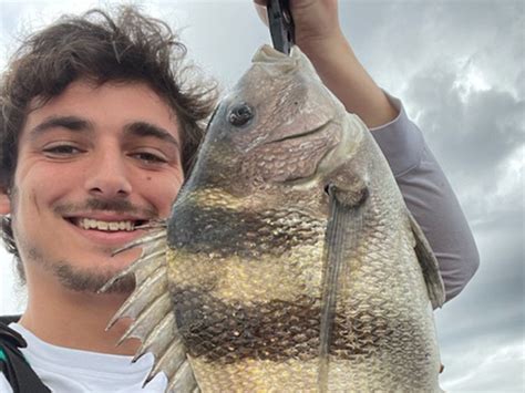 5 Tips for Catching Sheepshead - Texas Fish & Game Magazine