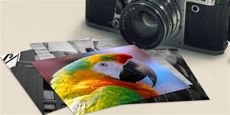 5 Tips to Help You Take Really Unique Photographs
