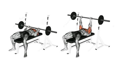 5 Tricep Exercises for Men to Increase Bench Press Strength