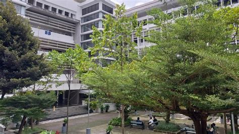 5 Universitas di Indonesia Ini Punya Hutan di Dalam Kampus - raincitystudios.com