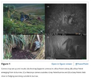 5 uses of camera traps - Wildlife Drones - muktibox.com