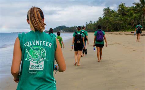 5 Volunteer Abroad Programs That Support Ocean Conservation - raincitystudios.com