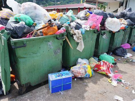 5 Waste Disposal Apps You Might Want To Check Out - raincitystudios.com