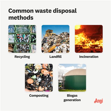 5 Waste Disposal Methods - Angi - raincitystudios.com