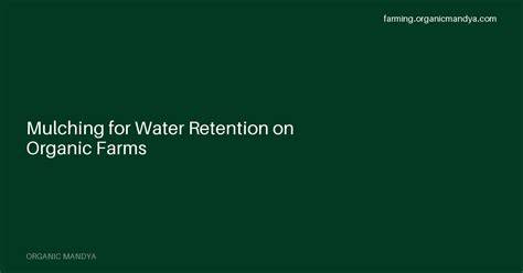 5 Water Retention Methods for Organic Growers - raincitystudios.com