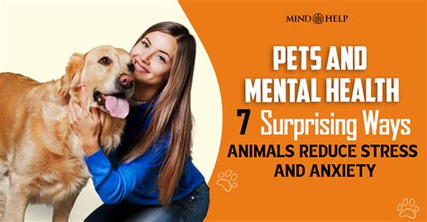 5 Ways Pets Help With Stress and Mental Health - wintechmobiles.com