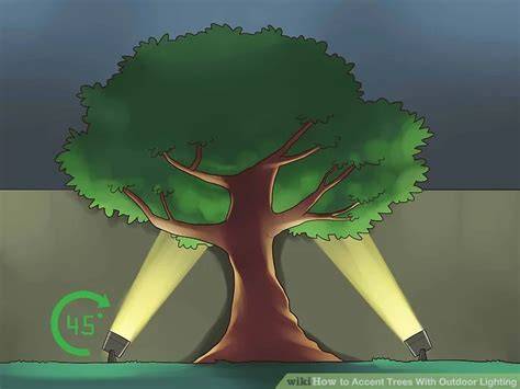 5 Ways to Accent Trees With Outdoor Lighting - wikiHow - raincitystudios.com