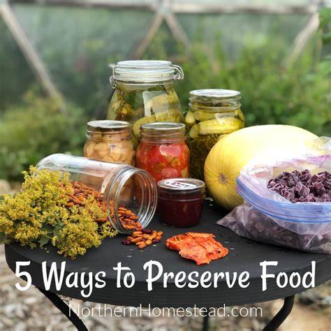 5 Ways to Preserve Fennel - wikiHow - raincitystudios.com
