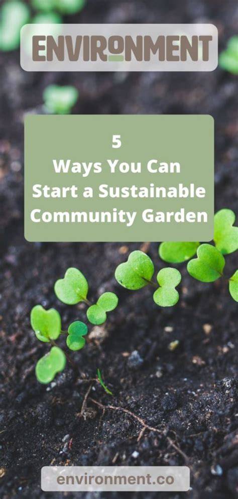 5 Ways You Can Start a Sustainable Community Garden - raincitystudios.com