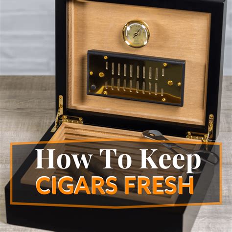 5 Ways On How To Store Cigars Without A Humidor