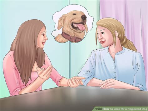 5 Ways to Care for a Neglected Dog - wikiHow