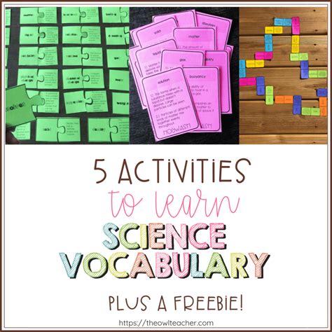 5 Activities To Learn Science Vocabulary The Owl 5th Grade Science Vocabulary - 5th Grade Science Vocabulary