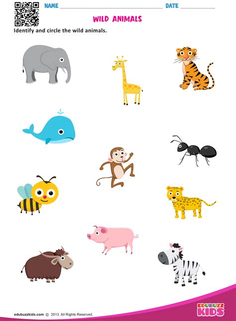 5 Animals Worksheets For Kids Kindergartens Amp Matching Animals Worksheet For Kindergarten - Matching Animals Worksheet For Kindergarten