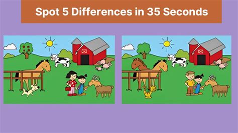 5 Differences What Are They Daycare Days