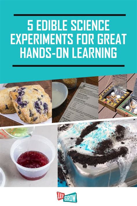 5 Edible Science Experiments For Hands On Learning Edible Science Experiments - Edible Science Experiments