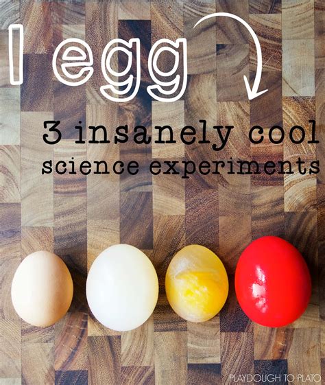 5 Egg Centric Science Experiments For Kids Science Egg - Science Egg