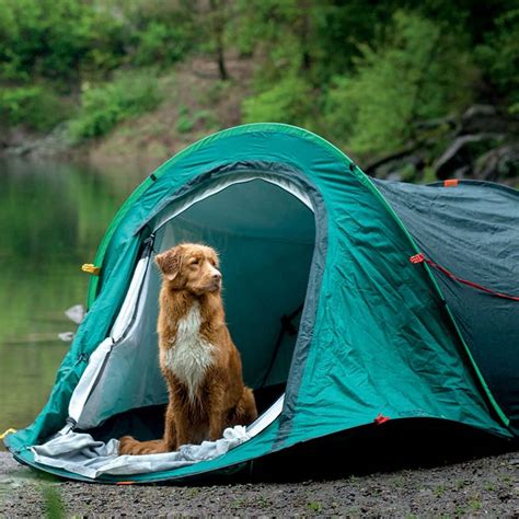 5 endroits pour faire du camping avec votre chien