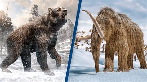 5 Extinct Animals Since The Birth Of Mankind Animal Facts Photos And Video Links 25 Amazing Animals Series Book 8