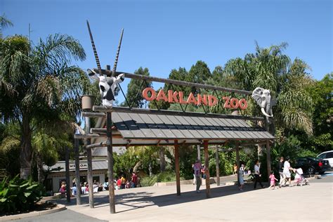 5 fantastic things to do at the Oakland Zoo