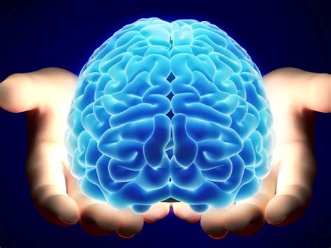 5 formas sencillas de mantener tu cerebro alerta