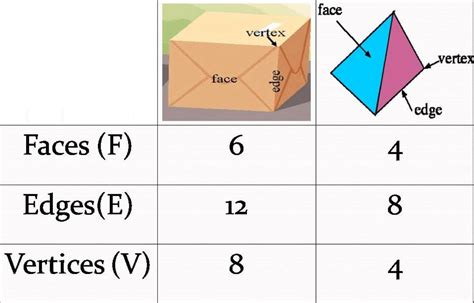 5 Free Faces Edges And Vertices Worksheet 3d Shapes Faces Edges Vertices Chart - 3d Shapes Faces Edges Vertices Chart