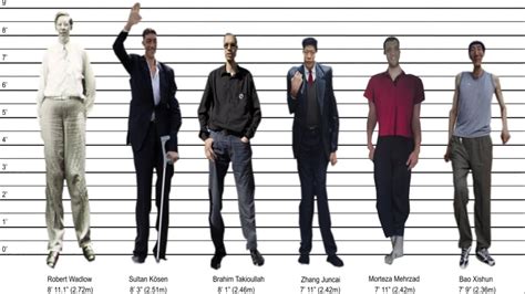 5 Ft 8 M In Centimeters