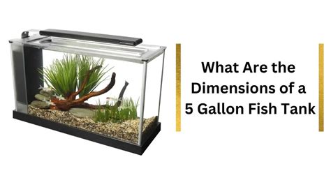 5 gallons tank size.  It's highly durable with a deep Find durable and versatile stoc...