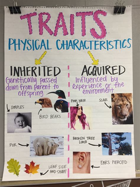 5 Ideas For Inherited Traits And Acquired Traits Inherited Traits 5th Grade - Inherited Traits 5th Grade
