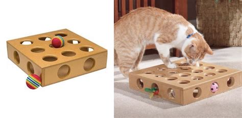 5 Juguetes Caseros Para Gatos Fáciles Baratos Y Como Se Hacer Juguetes Caseros Para Gatos - Como Se Hacer Juguetes Caseros Para Gatos