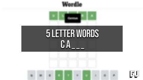 5 letter words starting with CA and ending in HE – Wordle Hints