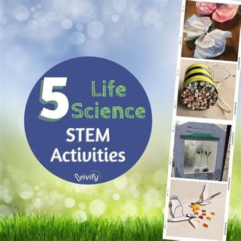 5 Life Science Stem Activities For Elementary Life Science Activities - Life Science Activities