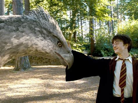 5 magical Harry Potter creatures: Names and origins explored