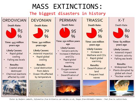 5 major mass extinctions. Mass extinctions are, by definition, harsh, but they each seem to be disastrous in their own unique way. After all, the KT extinction was likely caused by an asteroid, but other mass extinctions may have involved glaciation, global warming, volcanic activity, sea level changes, and changes in oceanic or atmospheric oxygen levels, among other factors. 