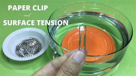 5 Minute Paper Clip Surface Tension Experiment Fun Paper Clip Science - Paper Clip Science