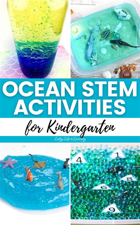 5 Ocean Stem Activities For Kindergarten Oceans Of Oceans Kindergarten - Oceans Kindergarten