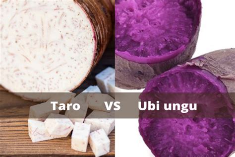 5 Perbedaan Taro Dan Ubi Ungu Sama Sama Taro Itu Warna Apa - Taro Itu Warna Apa