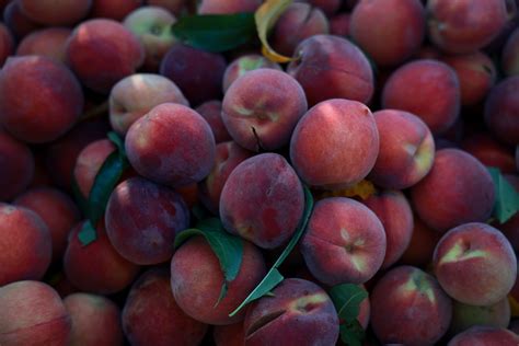 5 places to get Palisade peaches near Denver
